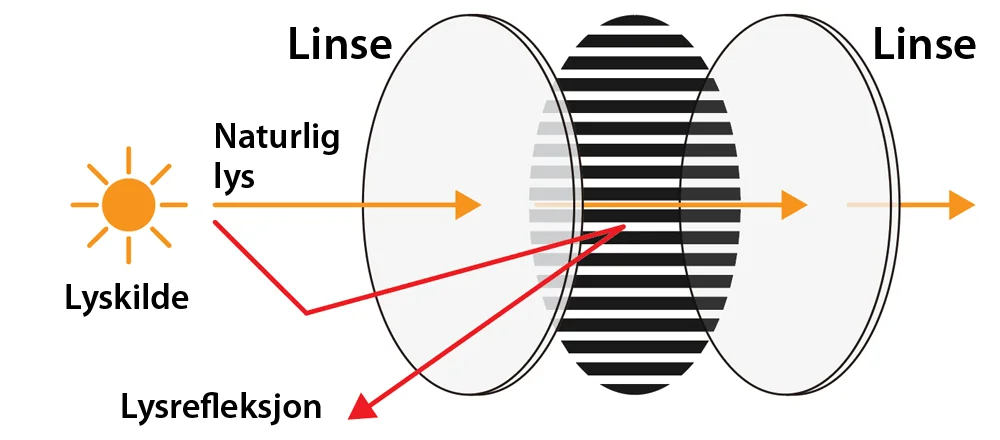 Linse-no Linse-no