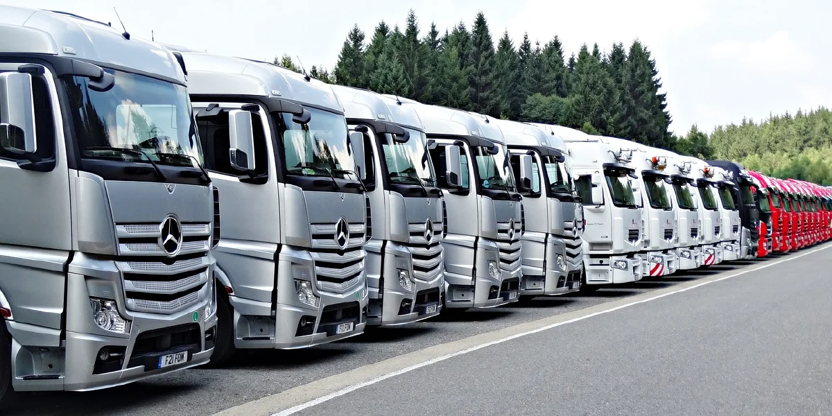 Dascham-in-Truck